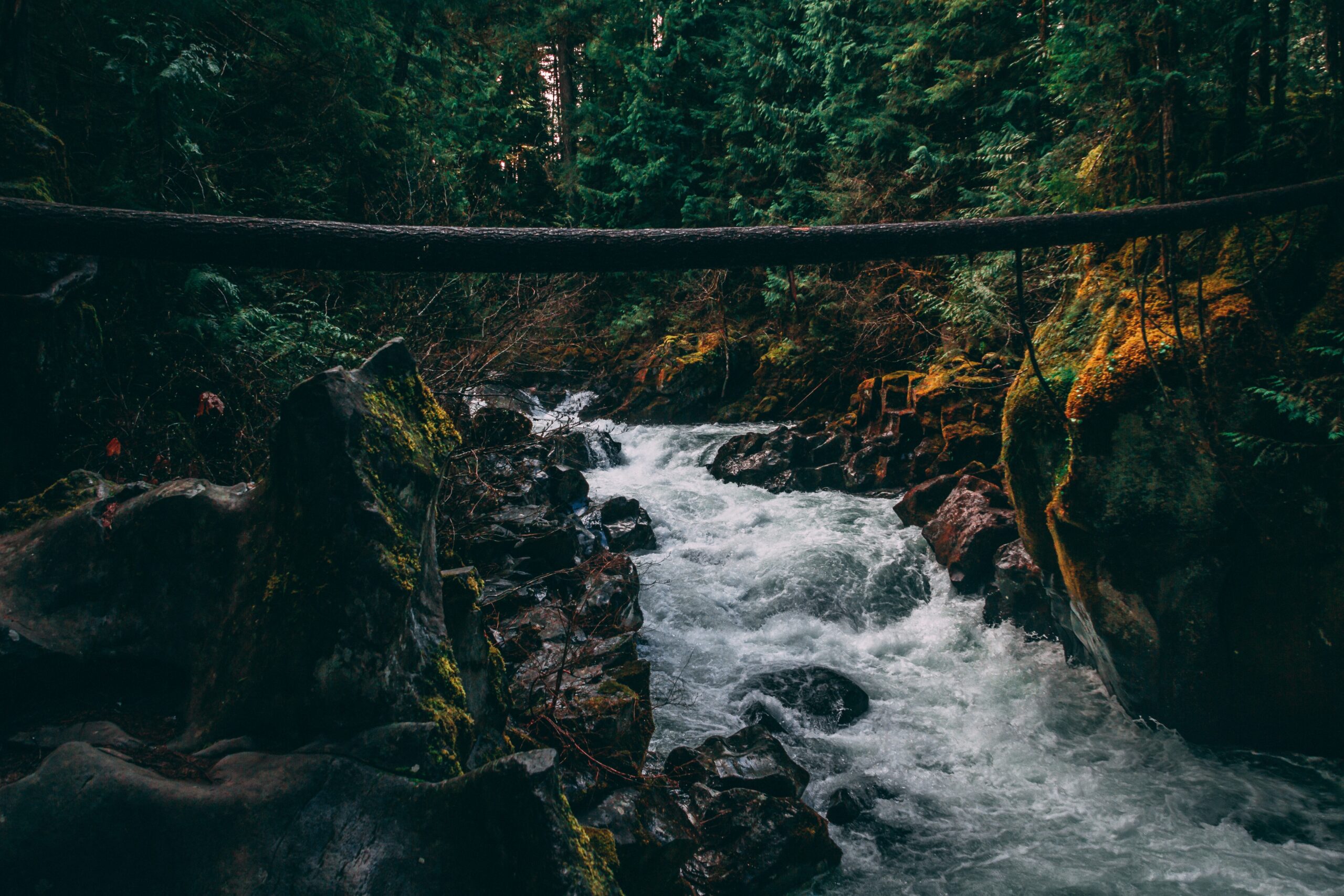 oregon rehab near me