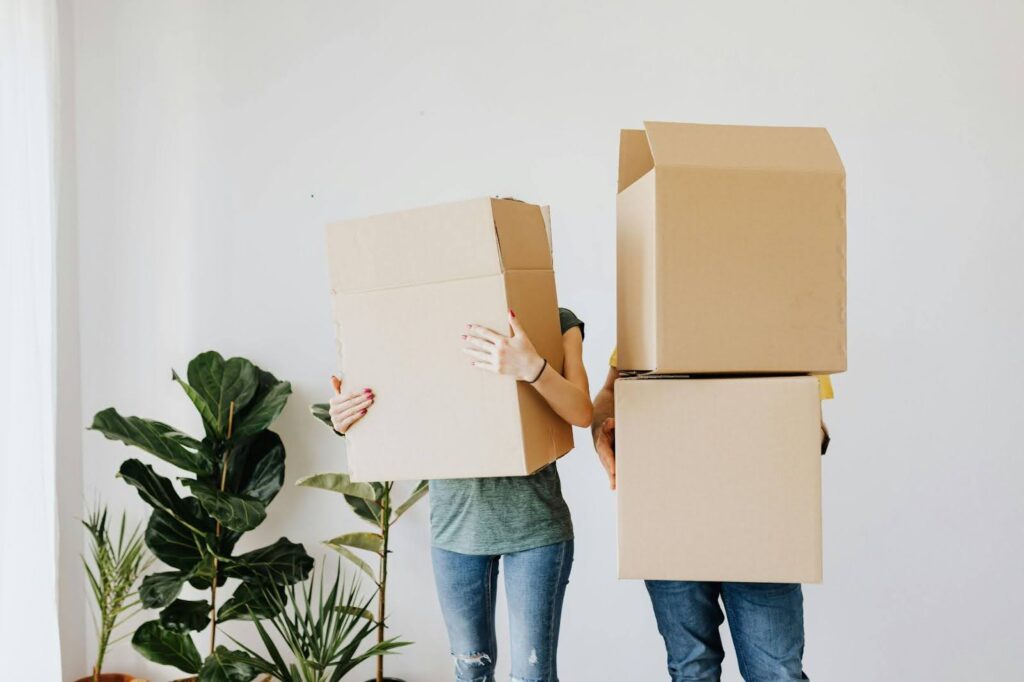 Two people stand against a white wall with house plants in the background. Ther are holding cardboard boxes in front of them that obstruct the view of their faces.